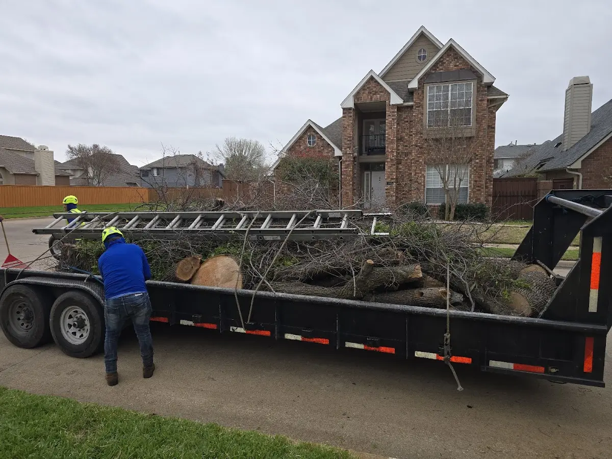 Expert Tree Fertilization with proper safety equipment in Spartansburg